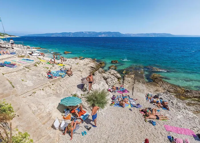 Pet Friendly In With Wifi