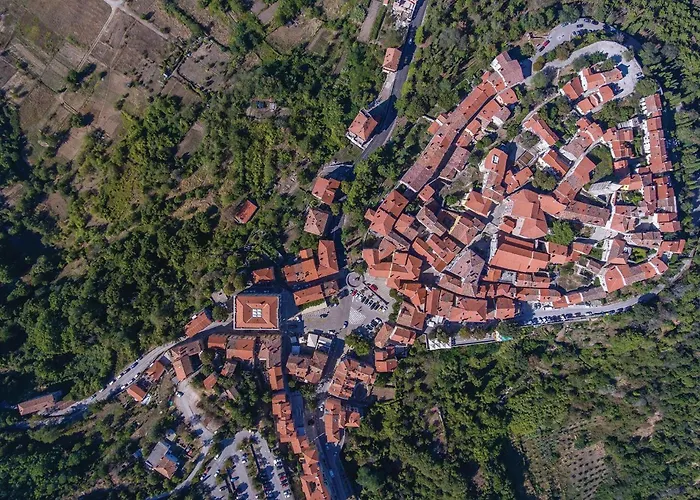 Pet Friendly In With Wifi